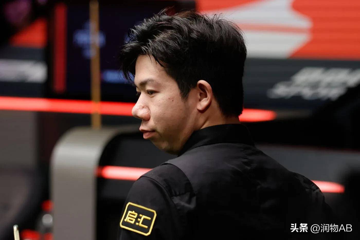 也让猛龙的 也让猛龙的