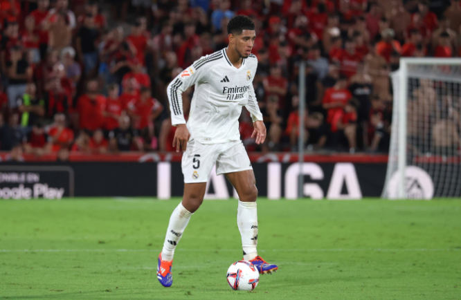 中网男单正 中网男单正